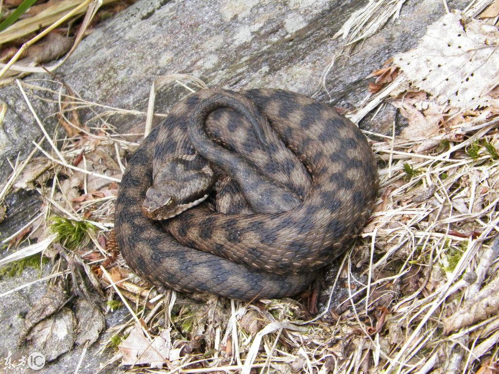 吉林胜景,人文荟萃,诗意古风述之