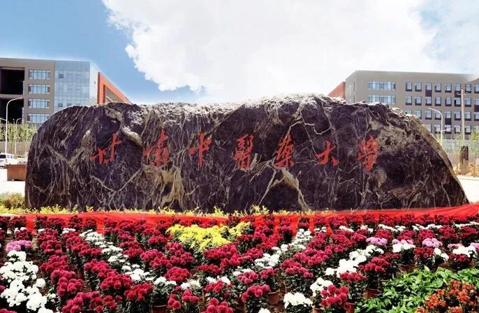 甘肃智造，甘肃引领智慧生活新篇章