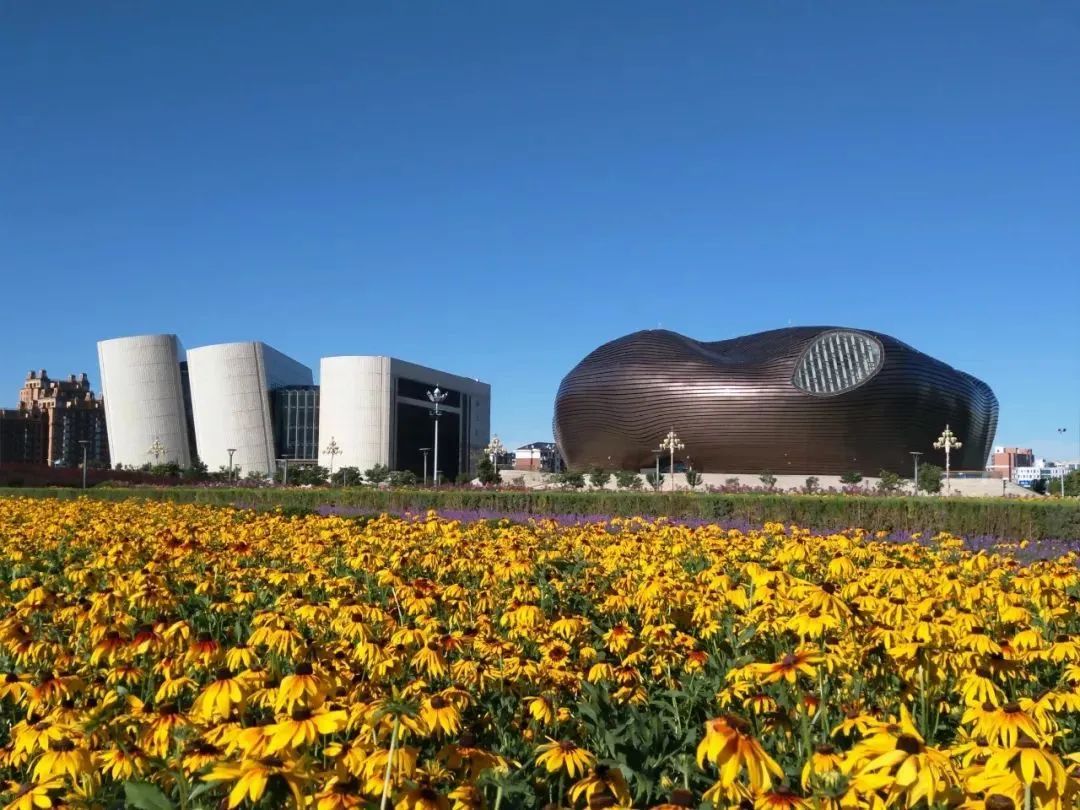 穿越鄂尔多斯，时光中的温暖印记